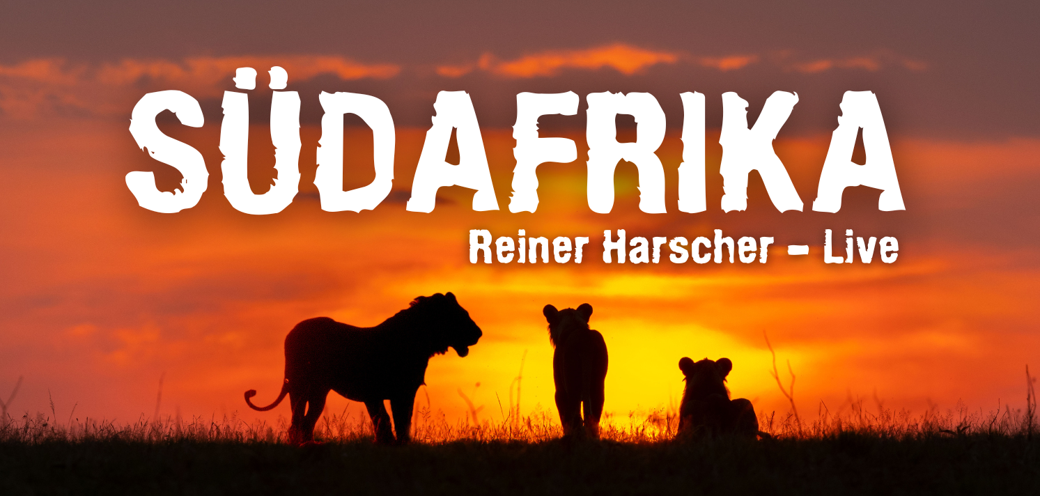 Vortragskarte - Südafrika